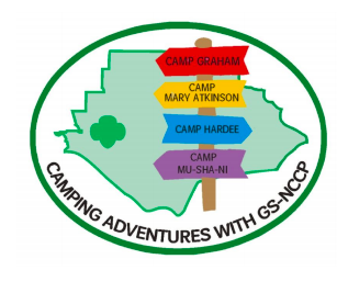 A Quick Guide to Girl Scout Badges and Patches – Blog – Girl Scouts NC  Coastal Pines
